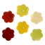 Želé květiny Fruit Gum Flower Sweet Promo