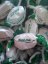Twisted promotion candy, coloured borders 5 kg