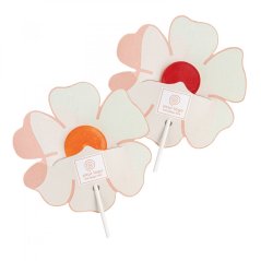 Fruit Lollipop Lolly Flyer Flower