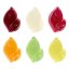 Želé flóra Fruit Gum Flora Sweet Promo