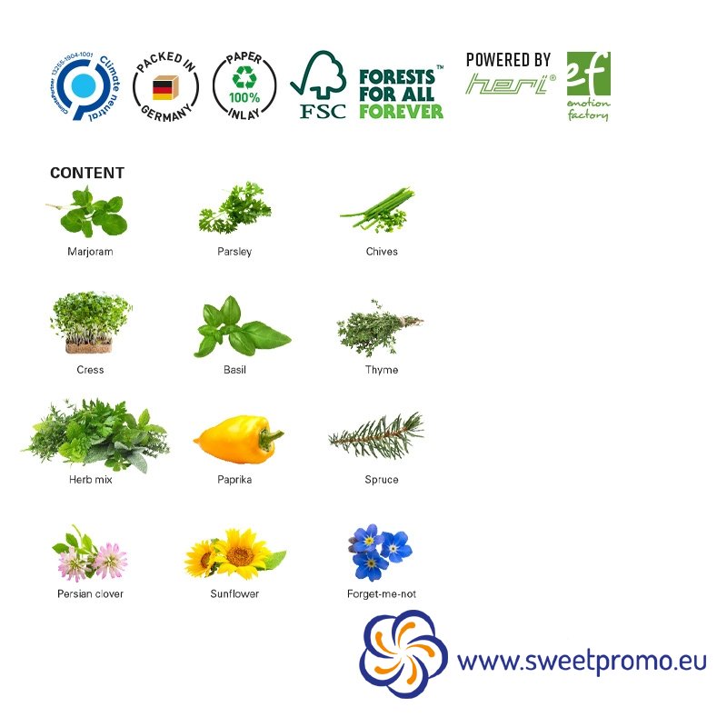 ECO Advent Calendar XL with seeds - Amount in package: 260pcs